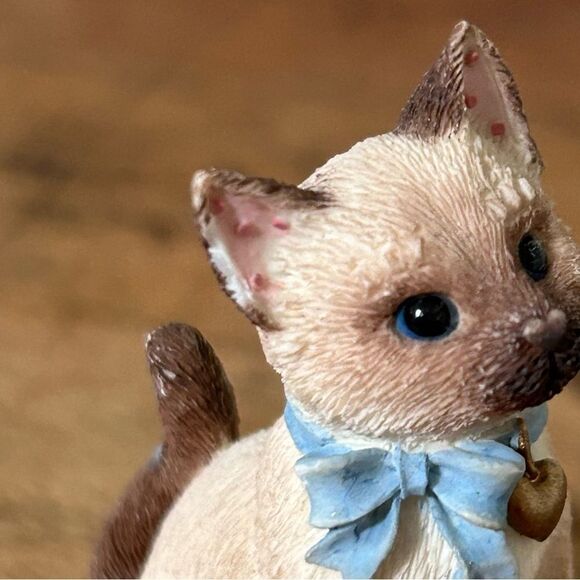 Calico kittens Priscilla Hillman 1997 “Siamese” chipped ear - Picture 4 of 8